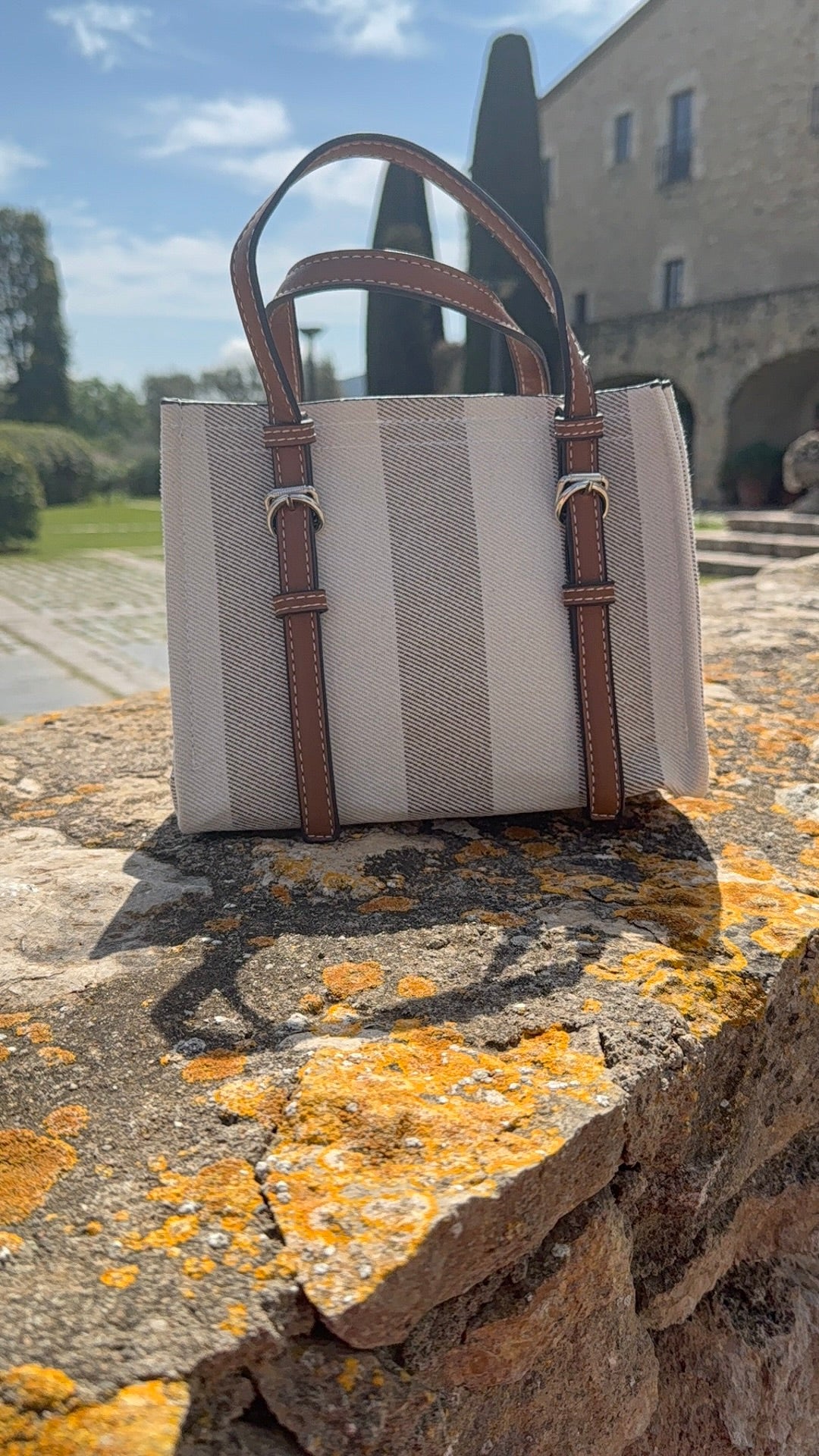 Opulent Stripe Handbag