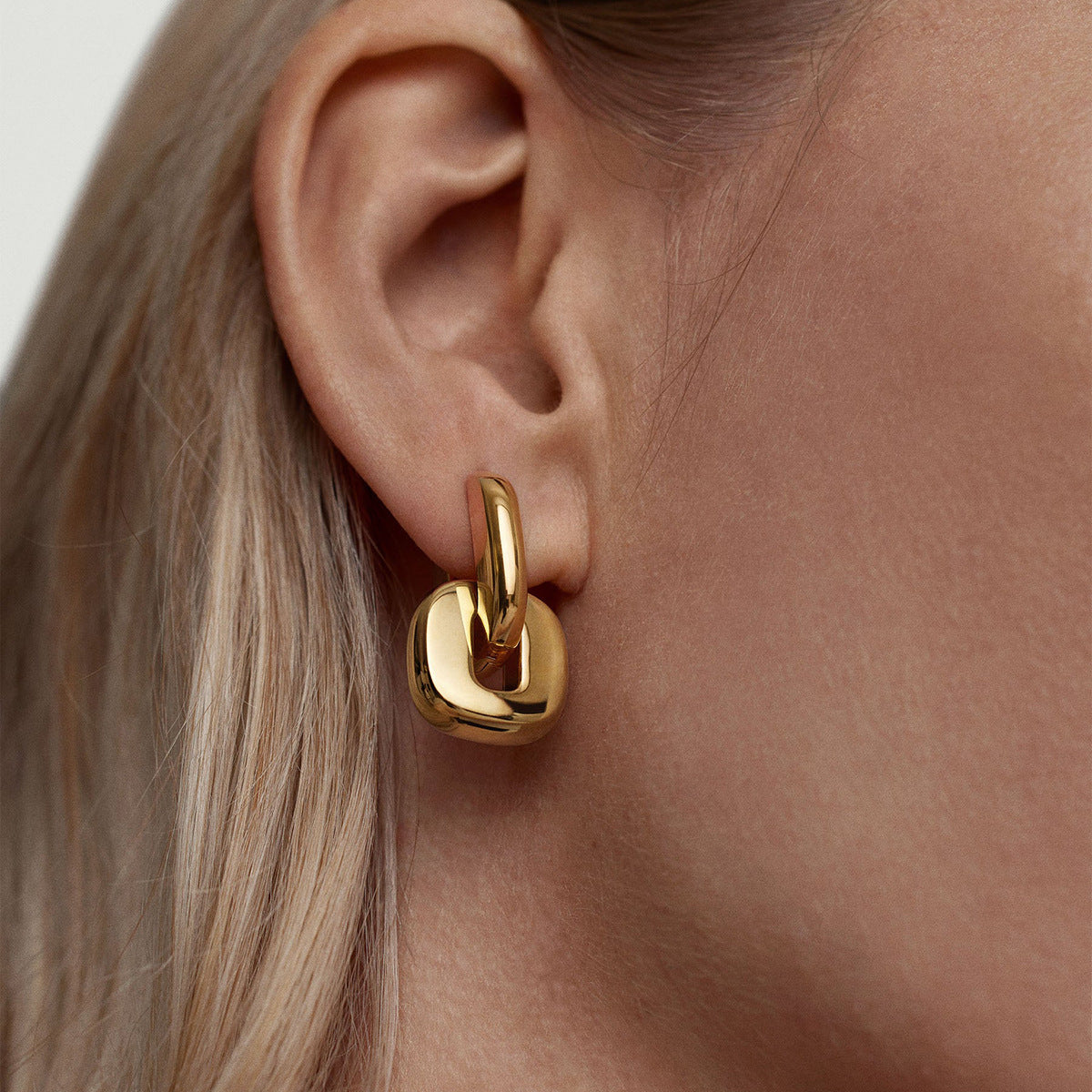 Tessa Link Hoops