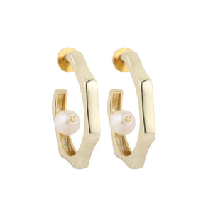 Swish Hoops