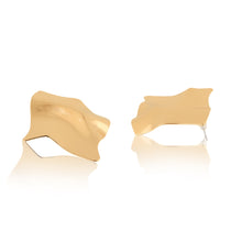 Load image into Gallery viewer, Shine on earrings
