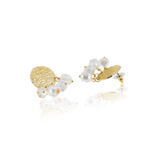 Load image into Gallery viewer, Samantha crystal golden eardrop
